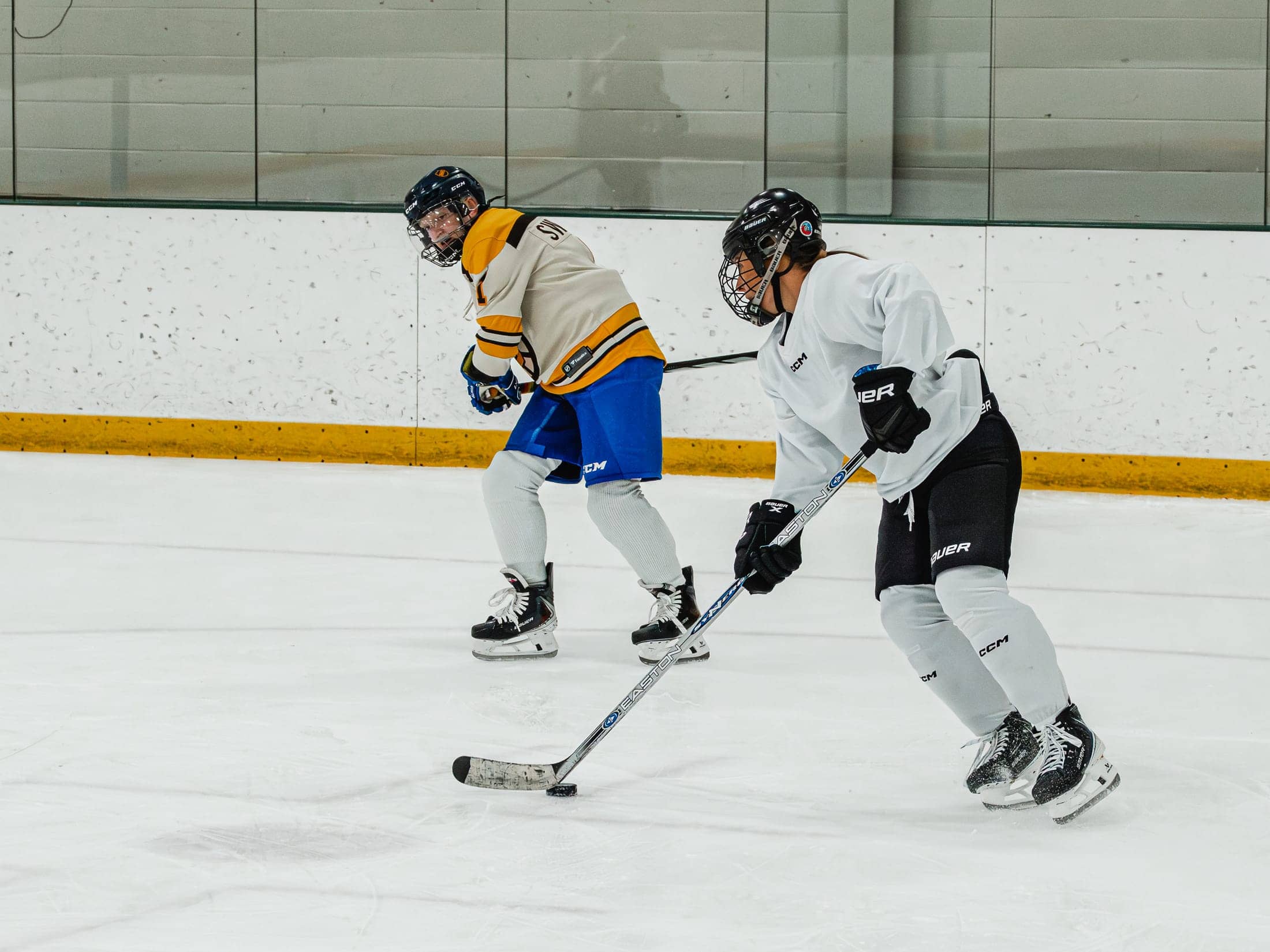 Players on the ice at the Maine Chill Pride Cup