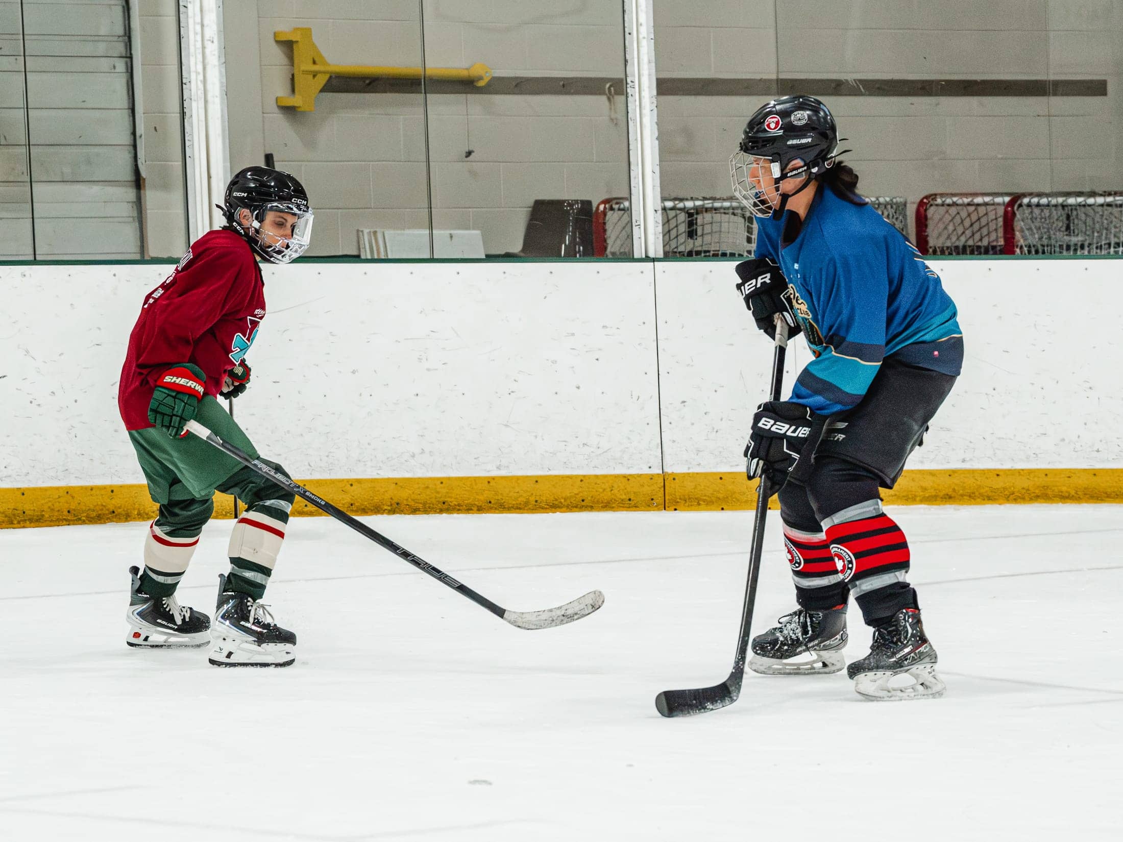 Players on the ice at the Maine Chill Pride Cup